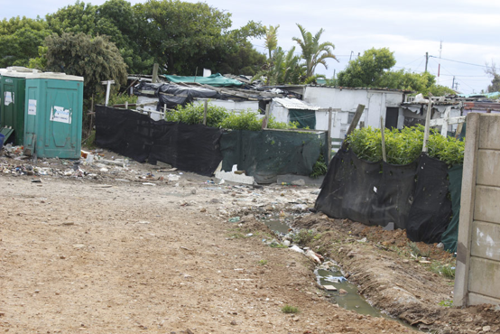 An example of the rubbish build-up polluting the local environment 